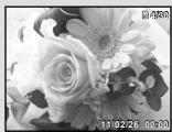 OLYMPUS TG-320 - Index view and close-up view - 2