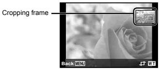 OLYMPUS TG-820 - Cropping image [☐] - 1