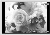 OLYMPUS TG-820 - Index view and close-up view - 2