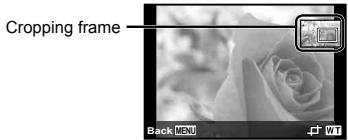 OLYMPUS TG-830 - Cropping image ▶ [☐] - 1