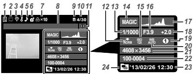 OLYMPUS TG-830 - 水平 金森30 - 1