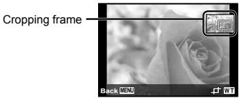 OLYMPUS TG-830 - To crop an image [☐] - 1