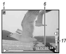 OLYMPUS VG-160 - Playback mode display - 2