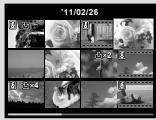OLYMPUS VG-160 - Index view and close-up view - 5