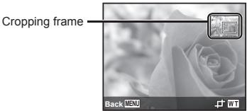 OLYMPUS VG-180 - Cropping image [F] - 1
