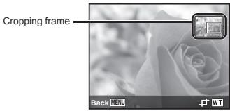 OLYMPUS VH-410 - Cropping image ▶ [☐] - 1