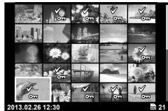 OLYMPUS XZ-10 - Index display - 1