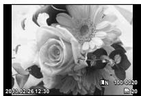 OLYMPUS XZ-10 - Playback zoom (close-up playback) - 1