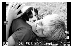 OLYMPUS XZ-10 - Choosing shutter speed (S shutter-priority mode) - 1