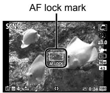 OLYMPUS TG-3 - AFL (Focus lock) - 1