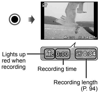OLYMPUS TG-3 - Press the Ⓞ (movie) button to start recording. - 1