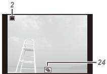 OLYMPUS TG-835 - Playback mode display - 3