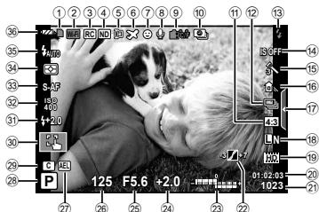 OLYMPUS STYLUS 1S - Monitor display during shooting - 1