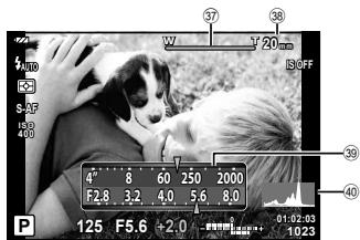 OLYMPUS STYLUS 1S - Monitor display during shooting - 2