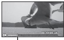 OLYMPUS TG 850 - [In-Movie Image Capture] - 1