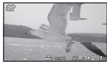 OLYMPUS TG-860, TG-860 - Press the (movie) button again to stop recording. - 3