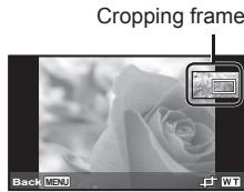 OLYMPUS TG-860,  TG-860 - Cropping image [F] - 1