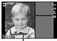 OLYMPUS TG3 - Types of theme - 3