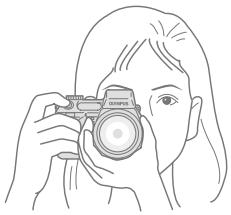 OLYMPUS CAMEDIA E-10 - Framing a picture with the viewfinder - 2