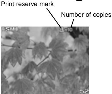OLYMPUS CAMEDIA E-10 - Selecting Pictures and Number of Copies for Printing - 3