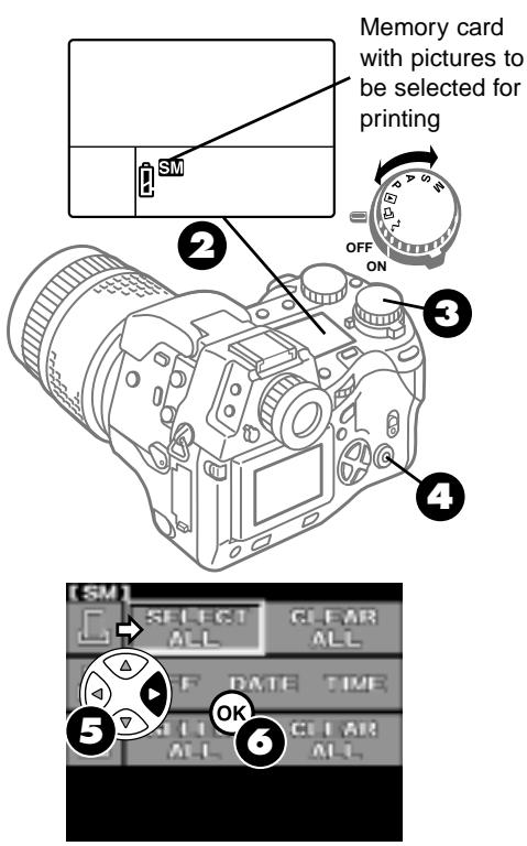 OLYMPUS CAMEDIA E-10 - Printing - 2