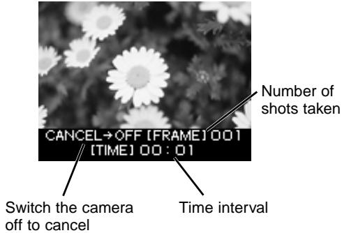 OLYMPUS CAMEDIA E-10 - Using Time-Lapse Photography - 6