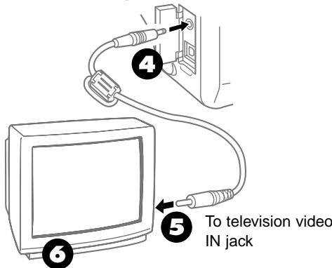 OLYMPUS CAMEDIA E-10 - Displaying Images on a TV Screen - 2
