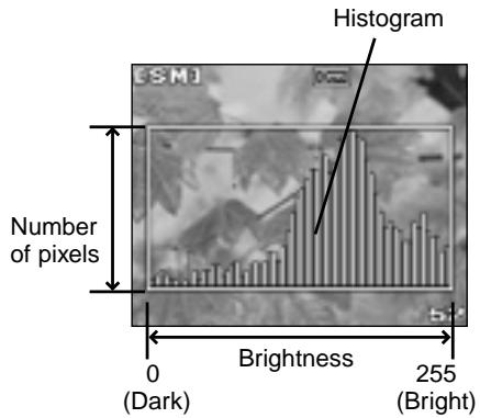 OLYMPUS CAMEDIA E-10 - To display the histogram during playback - 2