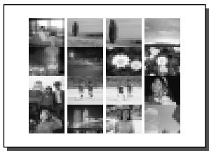 OLYMPUS CAMEDIA E-10 - Index Printing - 2