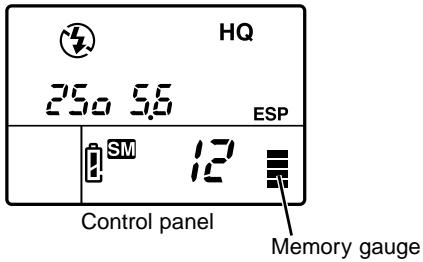 OLYMPUS CAMEDIA E-10 - Four segments lit in the memory gauge? - 1