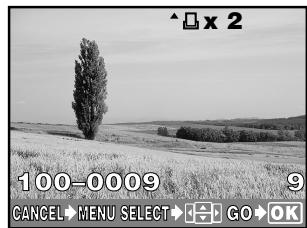 OLYMPUS CAMEDIA E-300 - Selecting pictures you want to print - 1