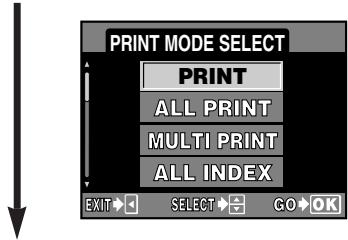 OLYMPUS CAMEDIA E-300 - Select the print mode. - 1