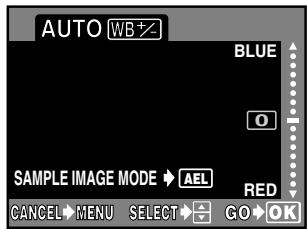 OLYMPUS CAMEDIA E-300 - WB compensation - 4