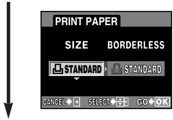 OLYMPUS CAMEDIA E-300 - Select the print paper setting. - 1