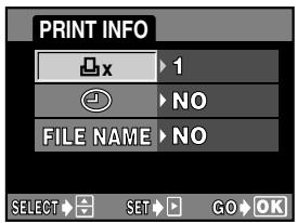 OLYMPUS CAMEDIA E-300 - Setting printing data - 1