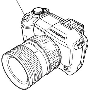 OLYMPUS CAMEDIA E-300 - Press the shutter button all the way. - 1