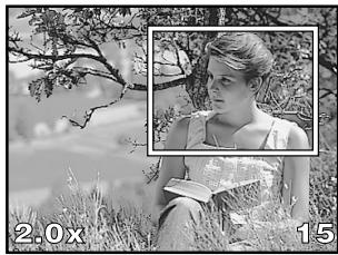 OLYMPUS CAMEDIA E-300 - Press the INFO button during close-up playback. - 1