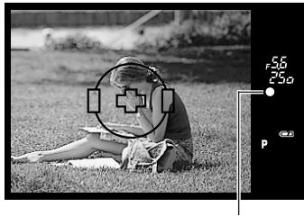 OLYMPUS CAMEDIA E-300 - While keeping the shutter button pressed halfway, re-compose your shot. - 2