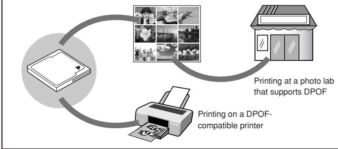 OLYMPUS CAMEDIA E-300 - Printing - 1