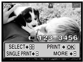 OLYMPUS CAMEDIA E-300 - Print pictures. - 2