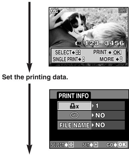 OLYMPUS CAMEDIA E-300 - Select frames you want to print. - 1