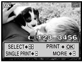 OLYMPUS CAMEDIA E-300 - Selecting pictures you want to print - 1