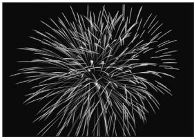 OLYMPUS CAMEDIA E-300 - FIREWORKS - 1