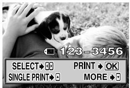 OLYMPUS CAMEDIA E-330 - Selecting pictures you want to print - 1