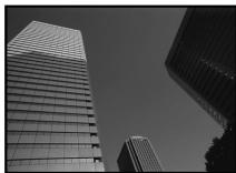 OLYMPUS E-300 - Example: - 1