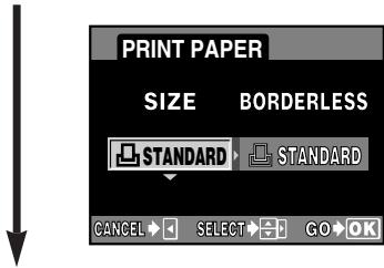 OLYMPUS E-300 - Select the print paper setting. - 1