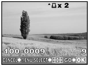 OLYMPUS E-300 - Selecting pictures you want to print - 1