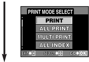 OLYMPUS E-300 - Select the print mode. - 1