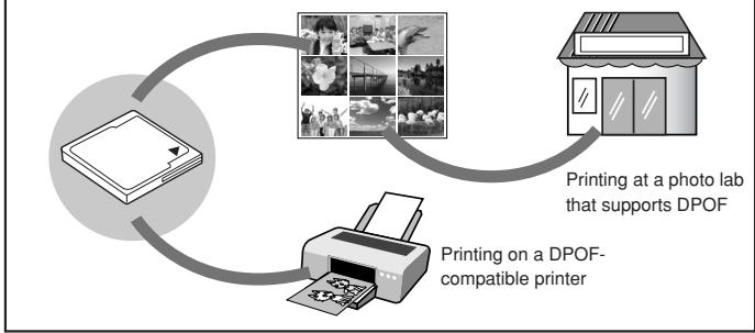 OLYMPUS E-300 - Printing - 1