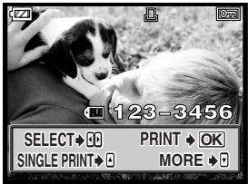 OLYMPUS E-300 - Print pictures. - 2
